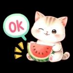 猫のつめあわせ【夏】