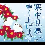 白馬の華やか飛び出す大人年賀状 2026 午年