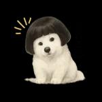 もふもふ【愛されサモエド】