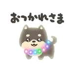 ぴかぴかわんわん