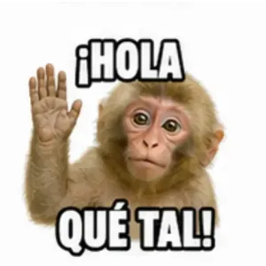 ¡HOLA QUÉ TAL! - getsticker.com
