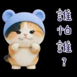 可愛小花貓超能幹的啦❤