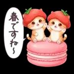 毎日使える 茶トラねこ 春 日常 いちご帽子