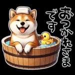 柴犬ワンダフル！！！！！