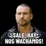 ¡SALE, HAY NOS WACHAMOS!