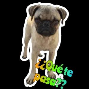 ¿¿Qué te pasa?? - getsticker.com