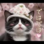 可愛いハチワレ猫 春の思いやり 敬語