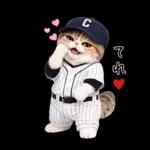 野球をする猫