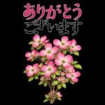 5月 春の花 大きくて見やすい挨拶スタンプ