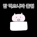 쩝쩝박사 꿀꾸리