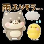 夏にかわいい♡豆柴日和