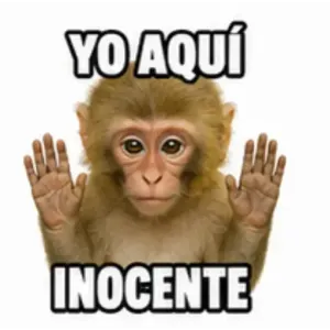 YO AQUI INOCENTE - getsticker.com
