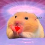 amorcito 