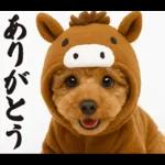 ウマの着ぐるみトイプードル【午年/2026】