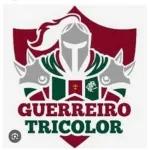 Fluminense sticker