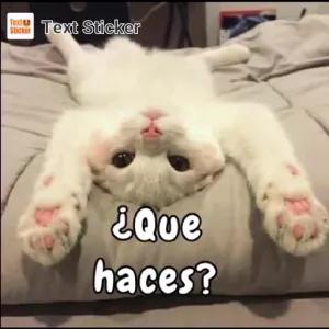 ¿Que haces? - getsticker.com