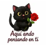 ¡Está carísimo!