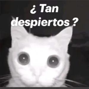 ¿ Tan despiertos ? - getsticker.com