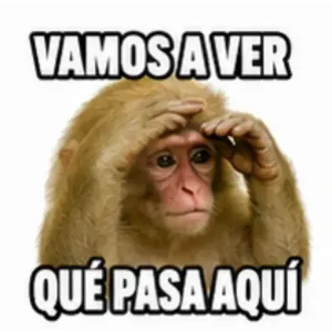 VAMOS A VER QUÉ PASA AQUÍ - getsticker.com