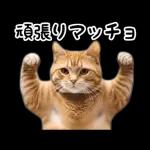 動く！猫の日常2