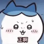 chikawa