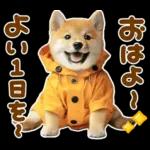 梅雨初夏♡わんこ