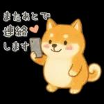 柴犬いっぱい♡豆しば♡秋＆冬