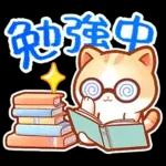 毎日♡猫ちゃんず【連絡・今何してる？】