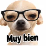 gaggags