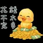 陰陽怪氣的小鴨鴨