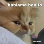 hablame bonito frasting.sad
