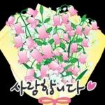 오늘은 꽃 주는 날