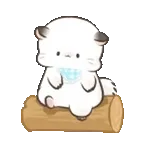 四毛與八毛 軟萌萌的小日常11