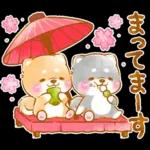 和菓子で敬語❤️いやしばいぬ❤️柴犬
