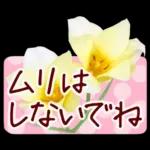 春✿明るい花で幸せ呼び込む✿やさしい声かけ