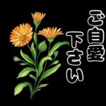 毎日使える やさしいお花の挨拶スタンプ