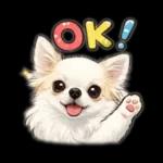 ブラン&プティ第2弾♡