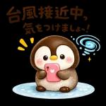 ぺんちゃんと梅雨じかん