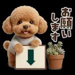 一年中使えることば集☆トイプードル