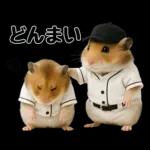 【新】リアル野球ハムスター