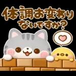 大人の気遣い♡立体ねこねこにゃんこ