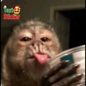 Text Sticker - getsticker.com