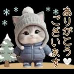 スコティッシュ猫 可愛いグレーニット 冬