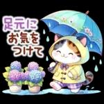猫のつめあわせ【夏】