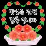 가정의 달 꽃 선물