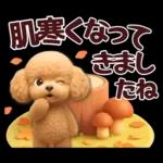 【秋冬】ずっと使える❤️日常会話 トイプー