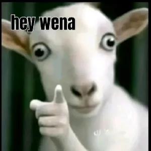 hey wena - getsticker.com