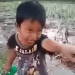 Engraçado whatsapp adesivos