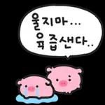 때지 뚱뚜이