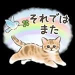 ふんわり可愛い☆猫たちのスタンプ